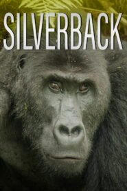 Silverback
