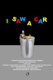 I Saw A Car