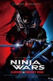 Ninja Wars – BlackFox vs Shogun’s Ninja